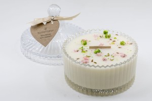 Niska transparentna 1.1.jpg